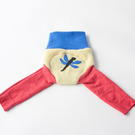 Wool Diaper Cover with Dragonfly Appliqué