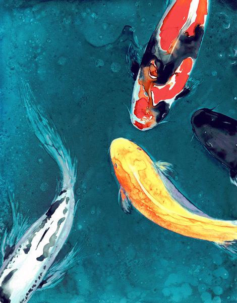 Watercolor Painting - Koi Art - Water Ballet - Japanese Carp Art Print