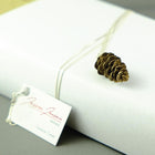 Natuurlijke Balsam Fir Cone