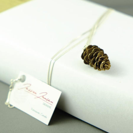 Natuurlijke Balsam Fir Cone