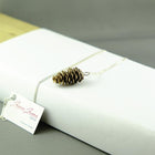 Natuurlijke Balsam Fir Cone