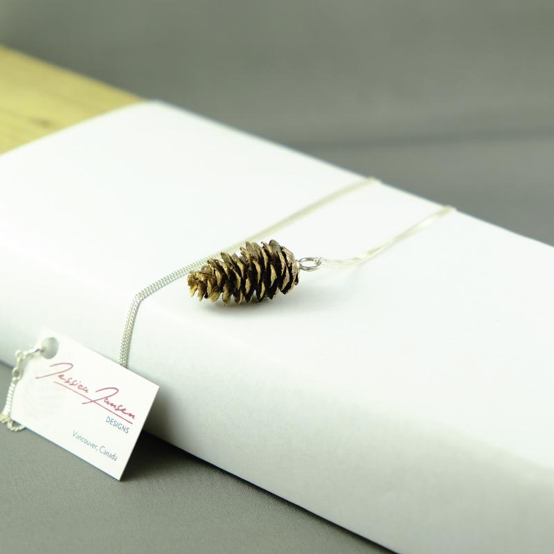 Natuurlijke Balsam Fir Cone