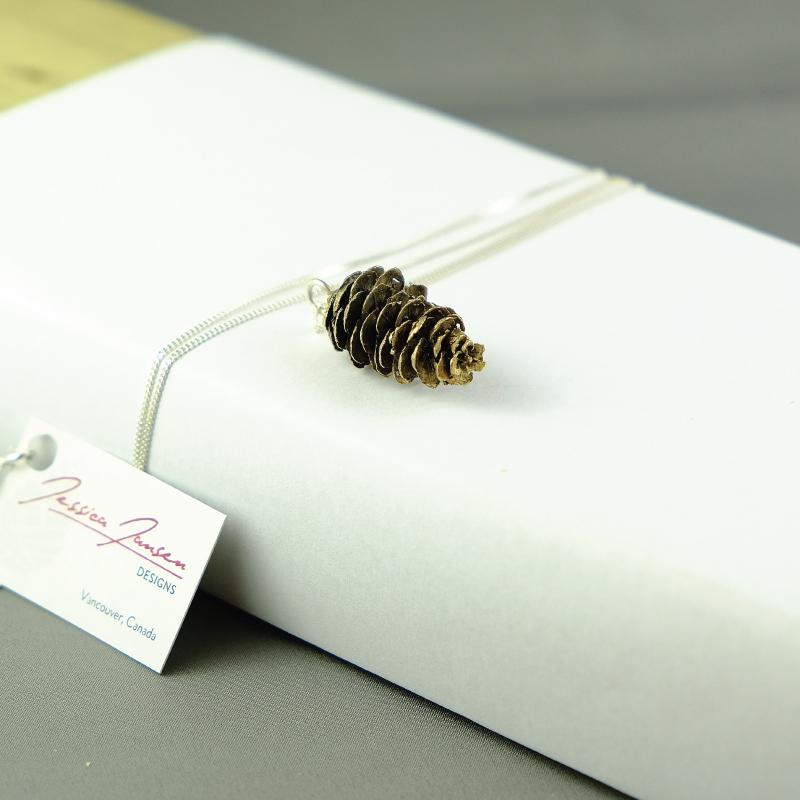 Natuurlijke Balsam Fir Cone