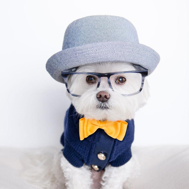 Doggie Hipster Hat